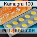 Kamagra 100 new05